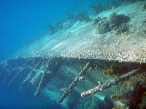 Duiken en snorkelen op Aruba